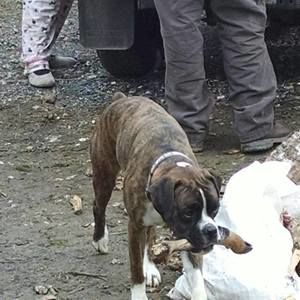 Meet your Posher, Aaron